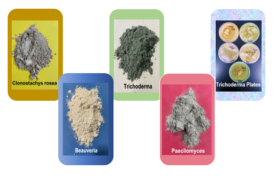 sample products
